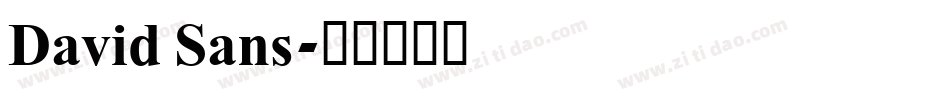 David Sans字体转换